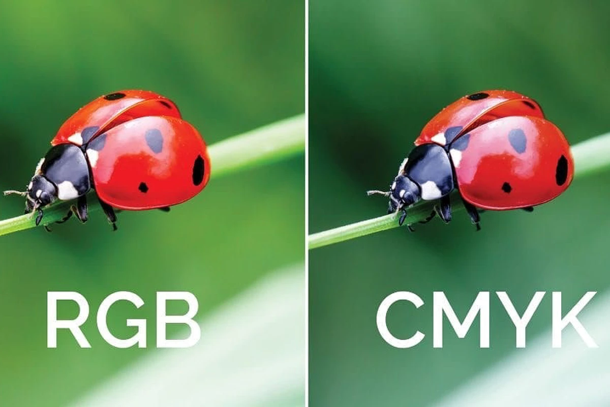 تفاوت cmyk و rgb
