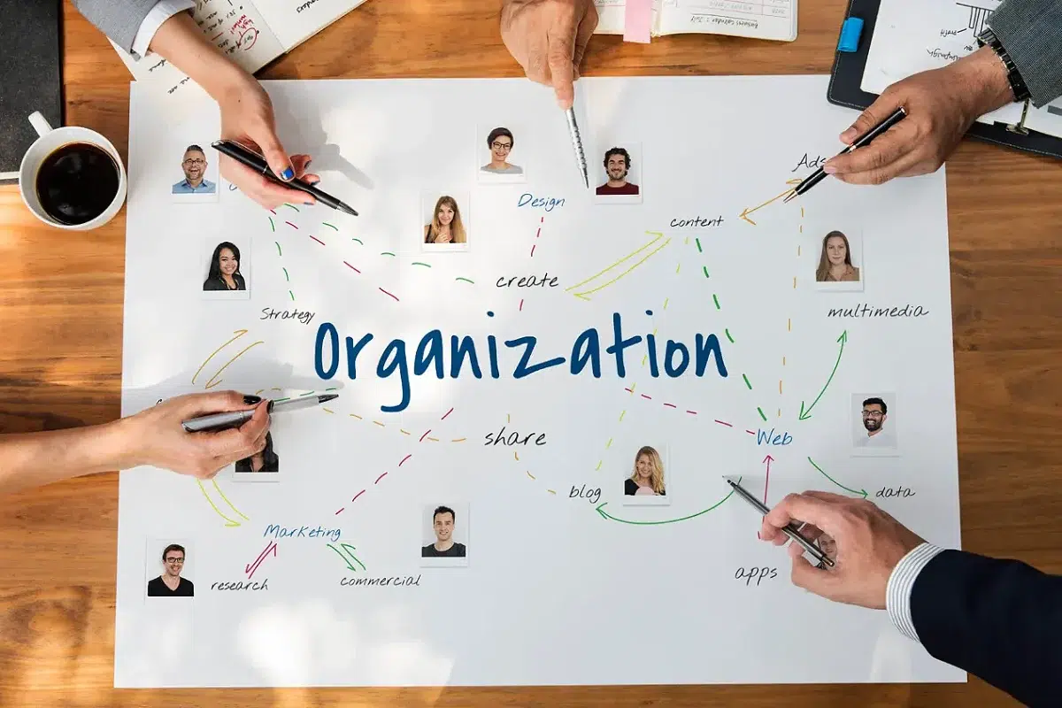 مفهوم نظم سازمانی چیست